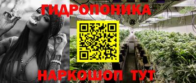 индика Коммунар
