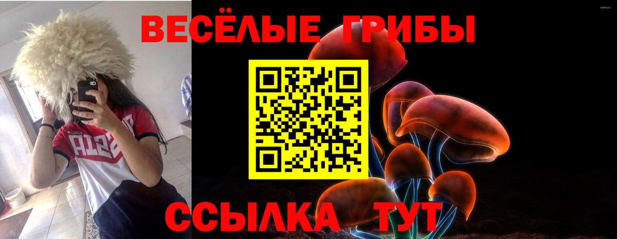 Псилоцибиновые грибы мухоморы  Вход с VPN  Азов  Галлюциногенные грибы Psilocybe 